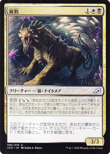 サブタイプ「猫」(24 枚)｜マジック：ザ・ギャザリング